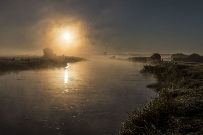 Morning by the river фото превью