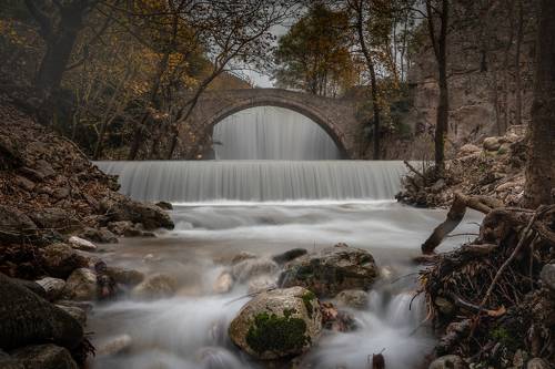 Autumn Forest in Meteora, Greece