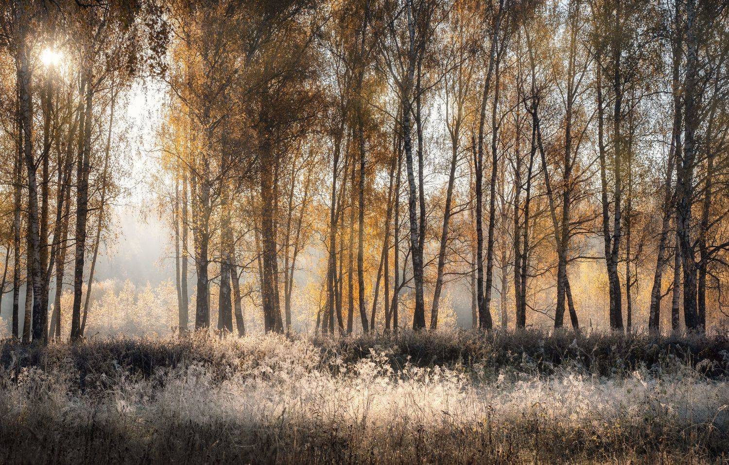 , Мозжухин Максим