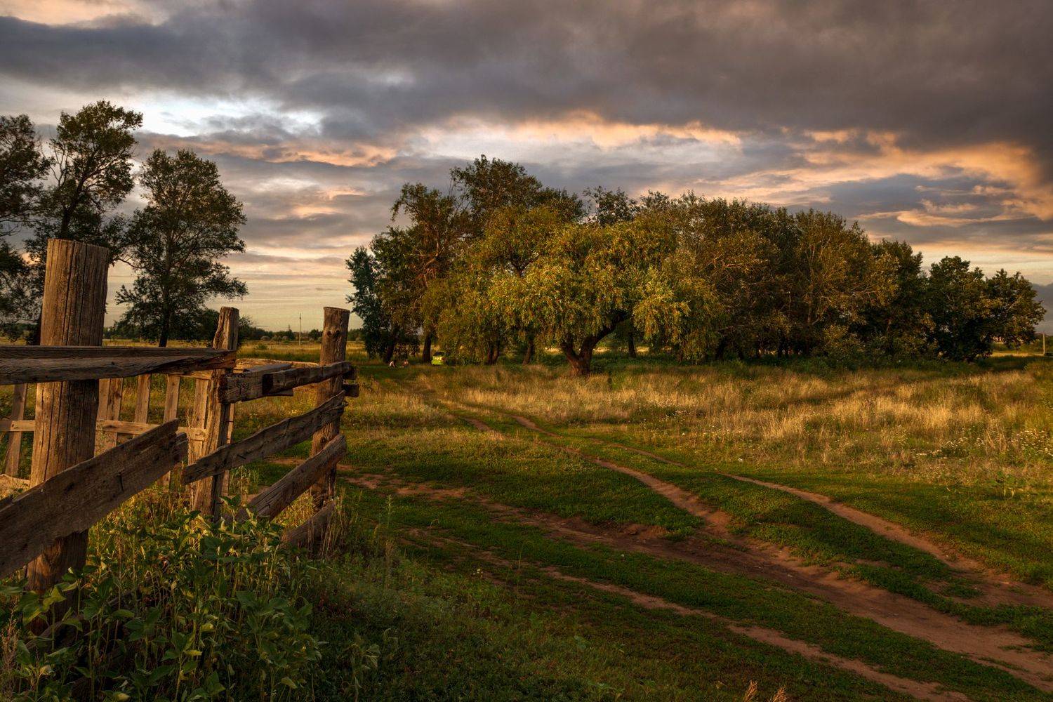 , Марат Кучкаев