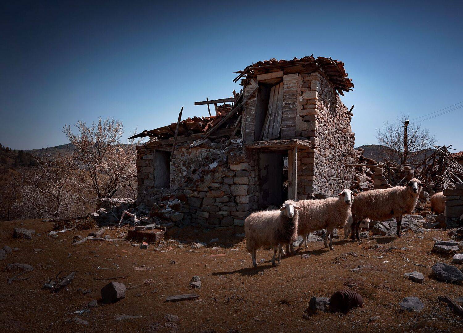 , Mariyana Atanasova - Lucero