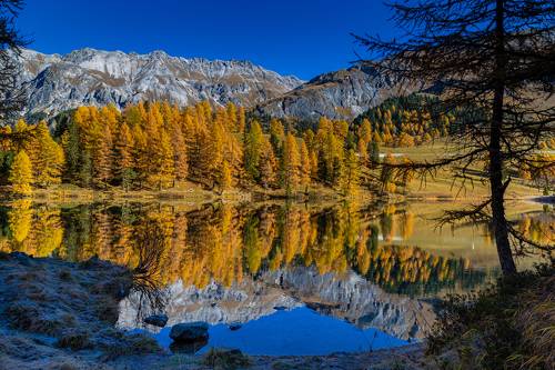Great Reflection