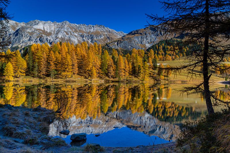 lake, palpuogna, switzerland, reflection, nature, landscape, autumn, water, colorful Great Reflection фото превью