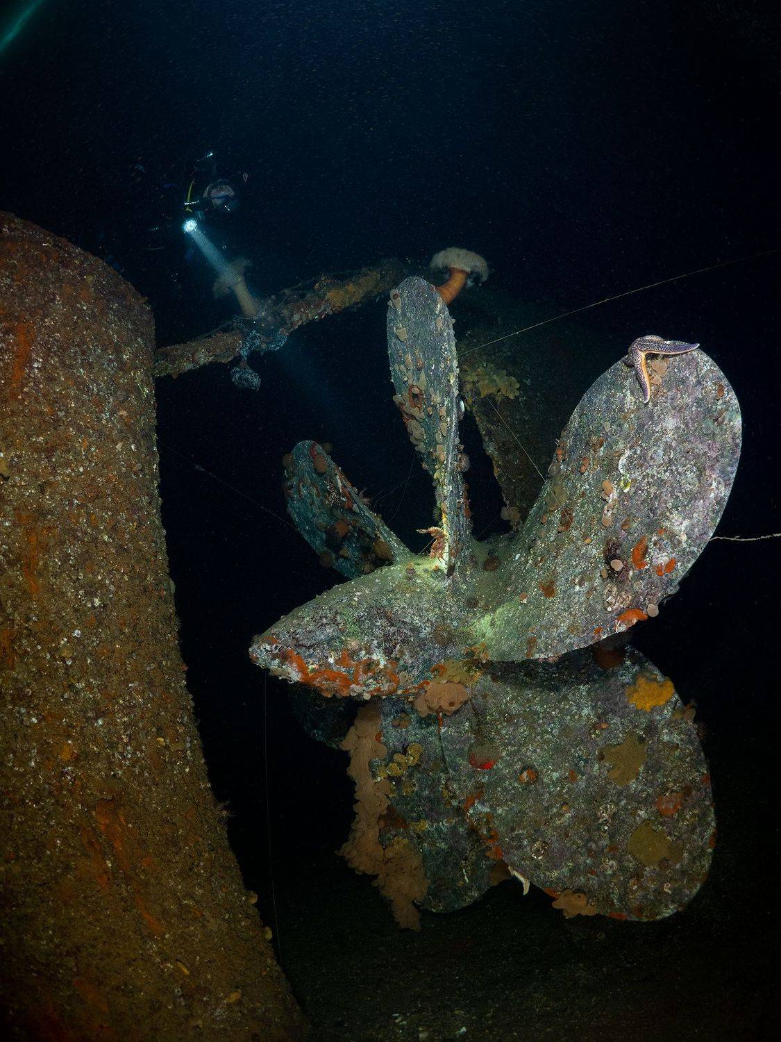 Магадан подо льдом, Сергей Шанин