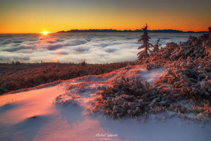 Babia Góra part 2. фото превью