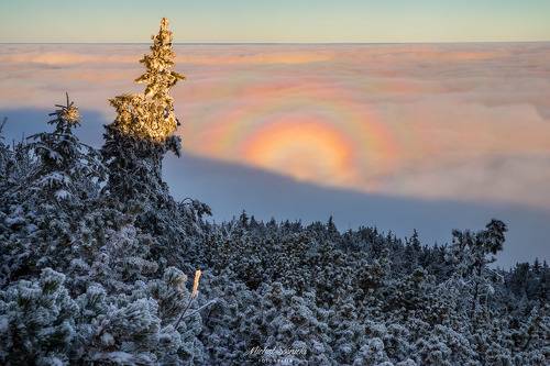 The Specter of Brocken. Part II.