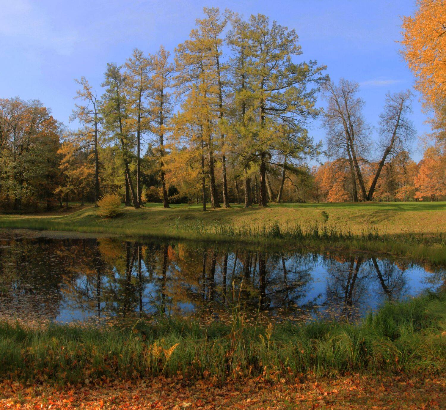 , Сергей Григорьев