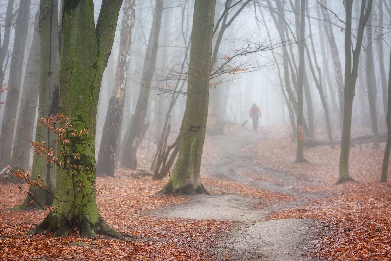 , Юрий Юрьев