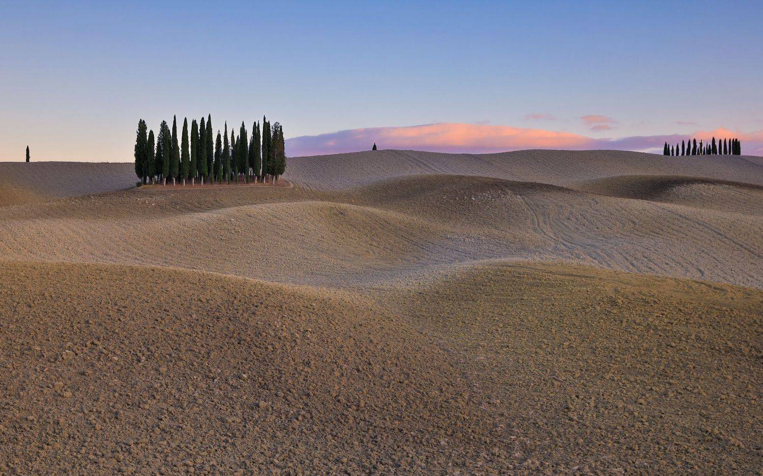 , Евгения Чех