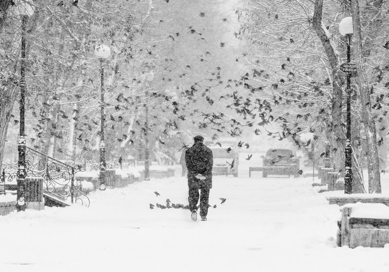 Зимние размышления фото превью