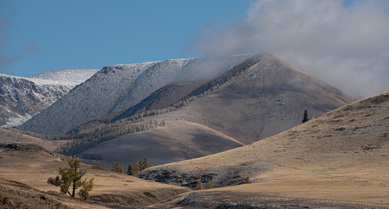 landscape  фото превью