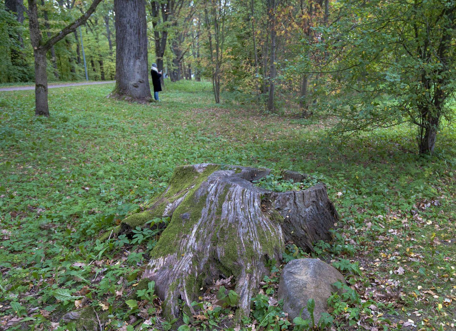 , Георгий Сапожников