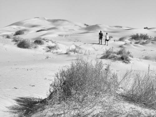 In the midday heat