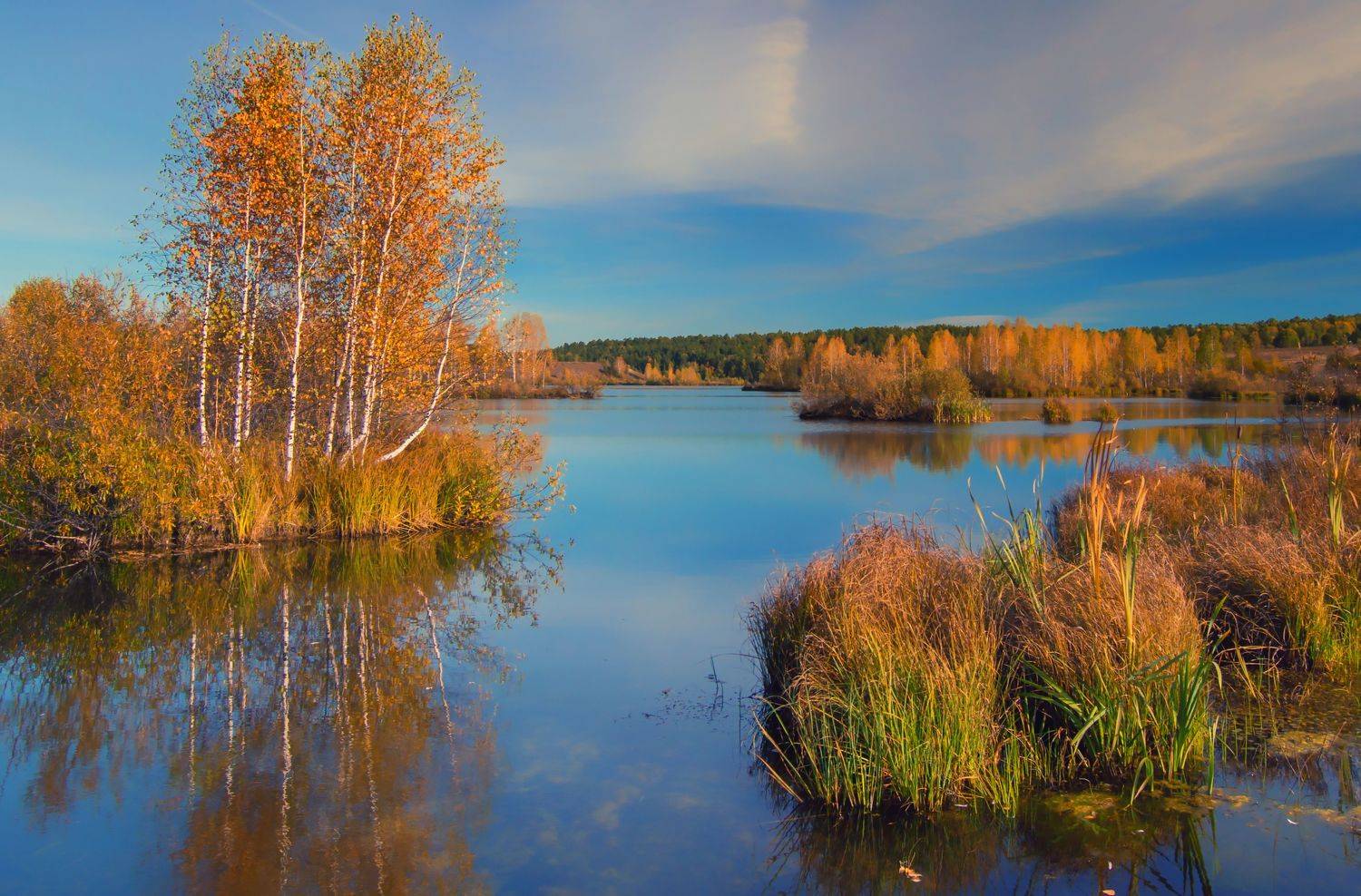 , Андрей Хаймин