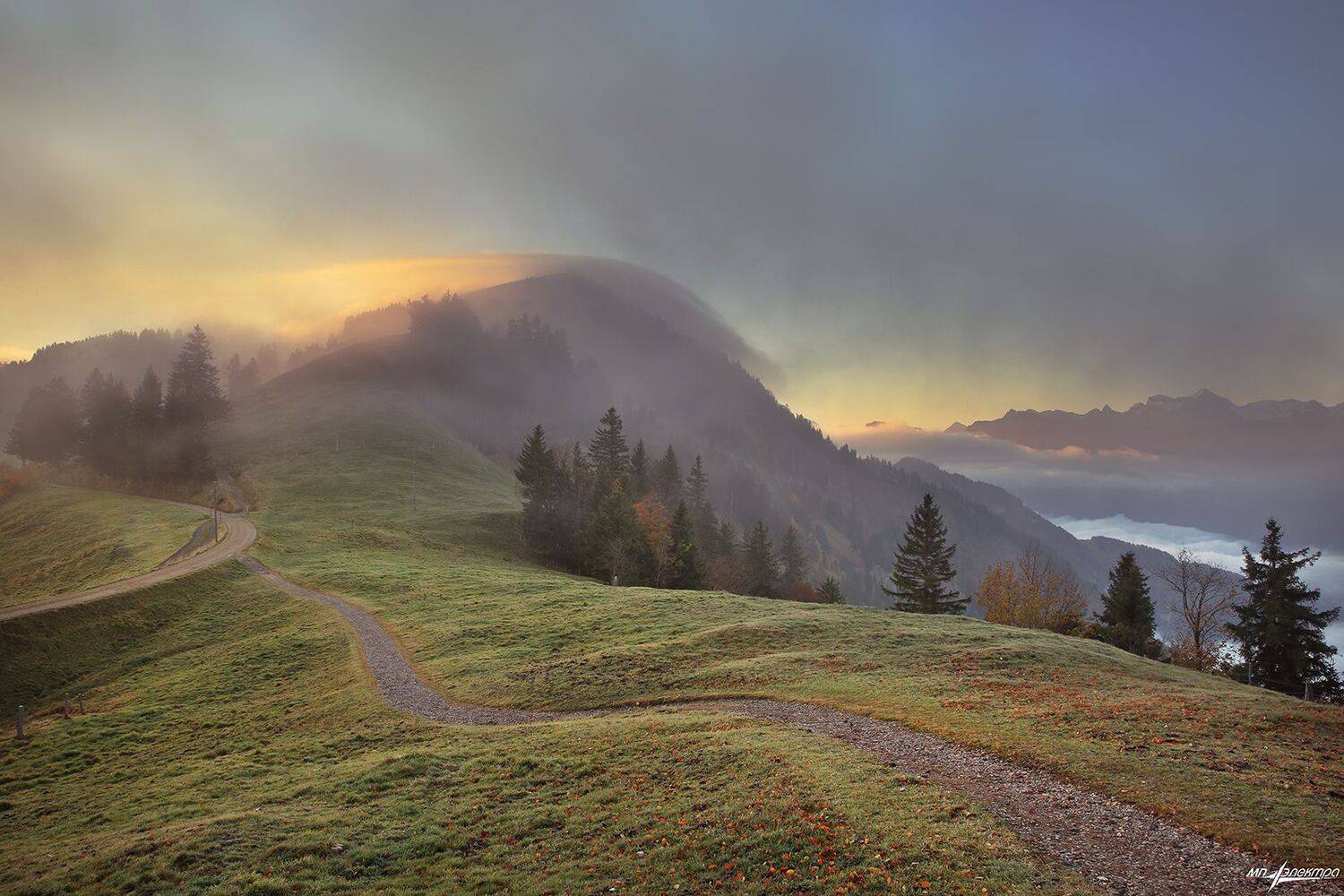 swiss, Матвеев Николай