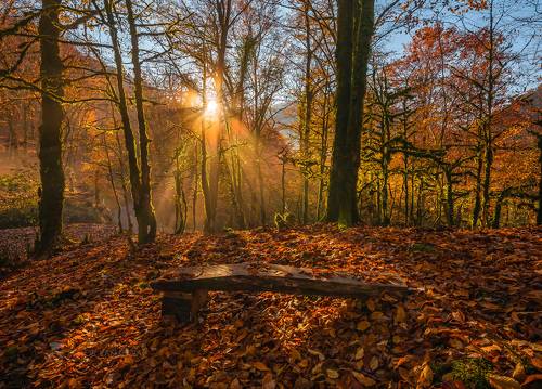 Лёгкий туман