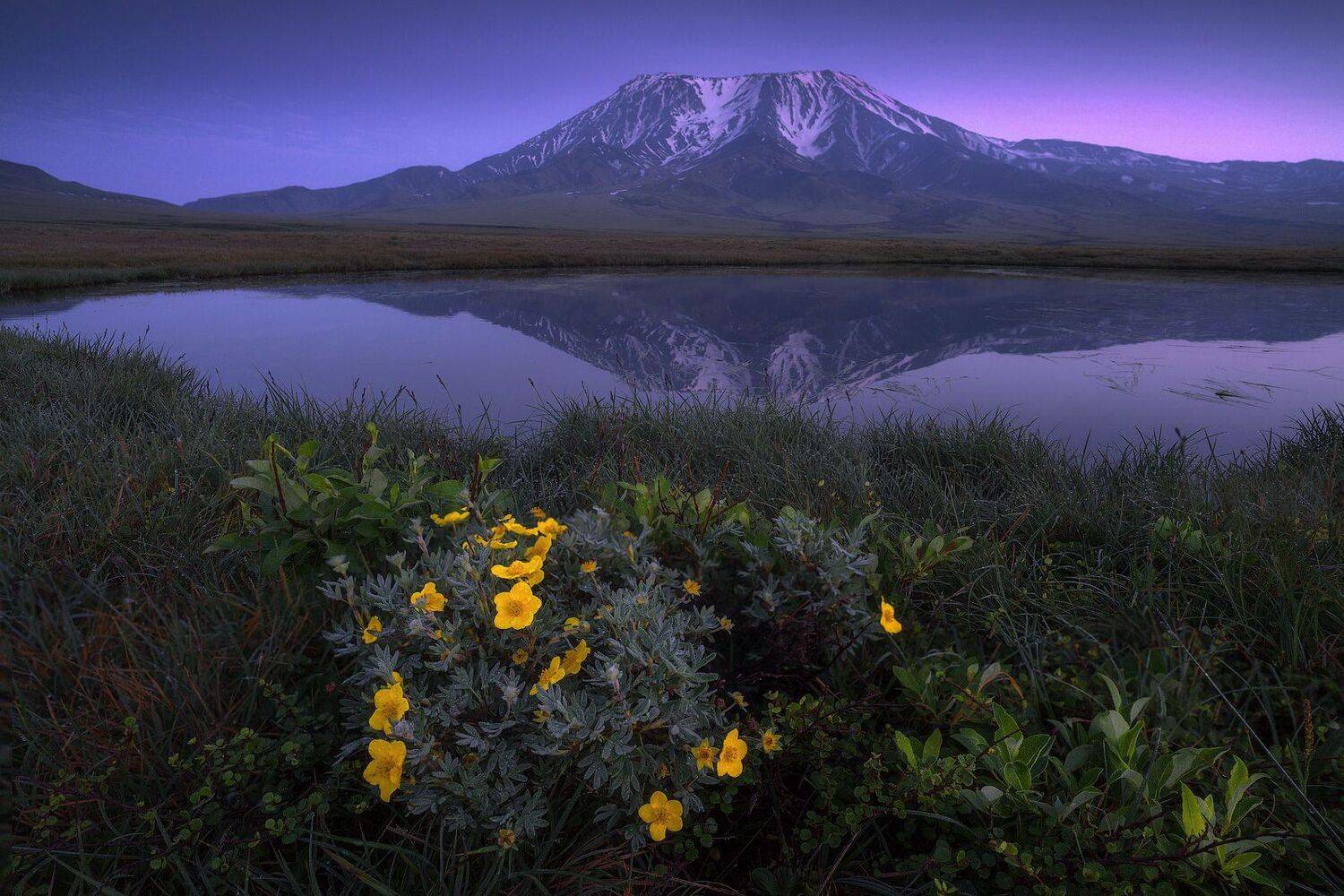 камчатка, Владимир Ляпин