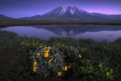 Перед рассветом