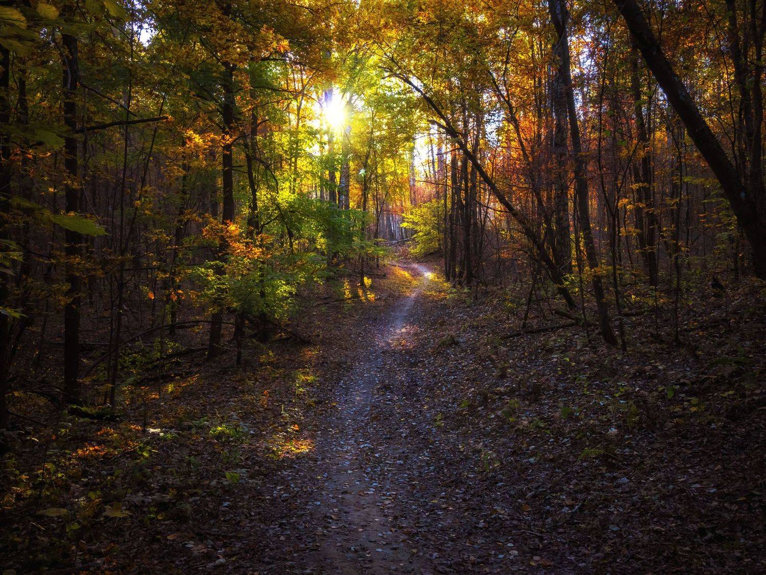 , Алексей Герасимов