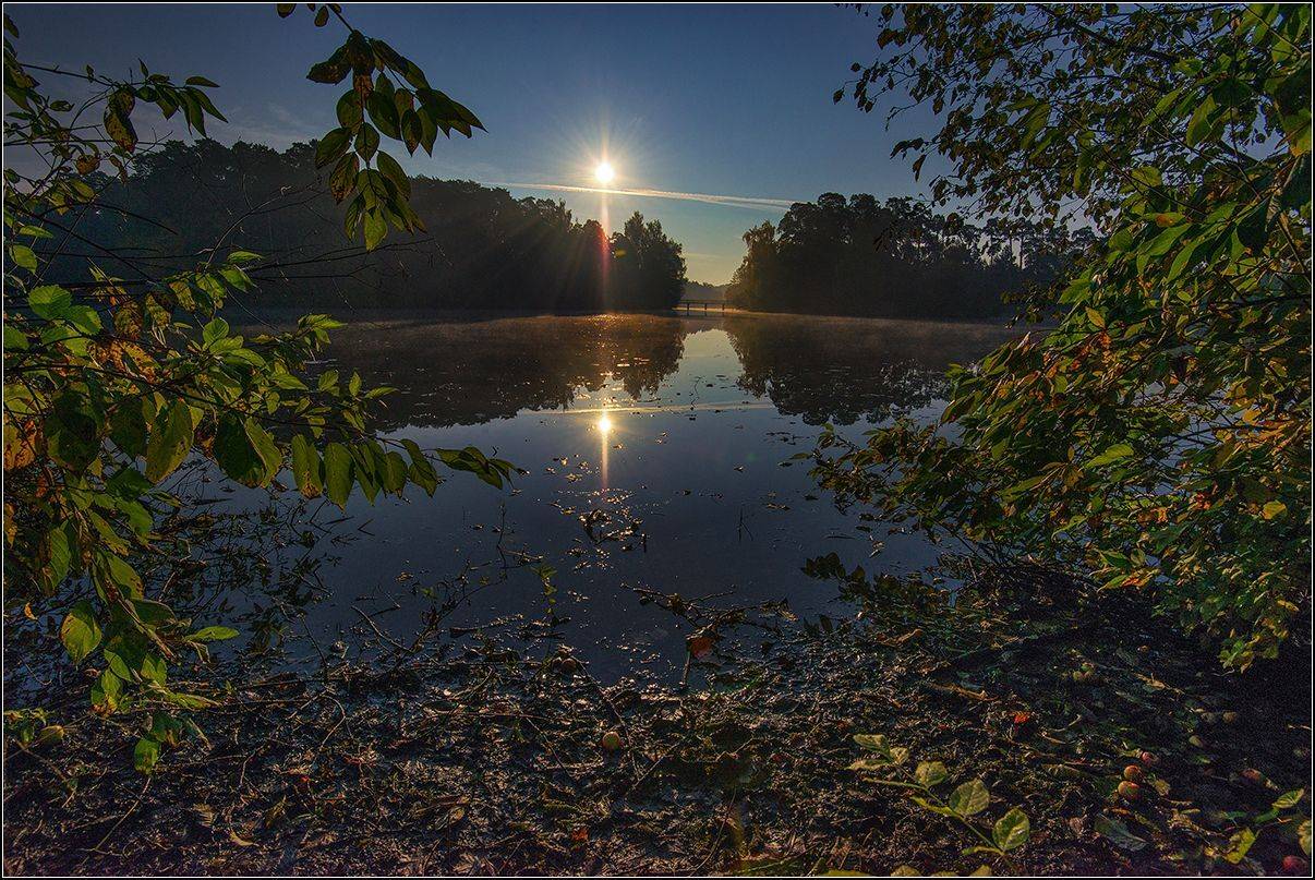 москва, осень, озеро, солнце, лес, отражение, АНАТОЛИЙ ДОВЫДЕНКО