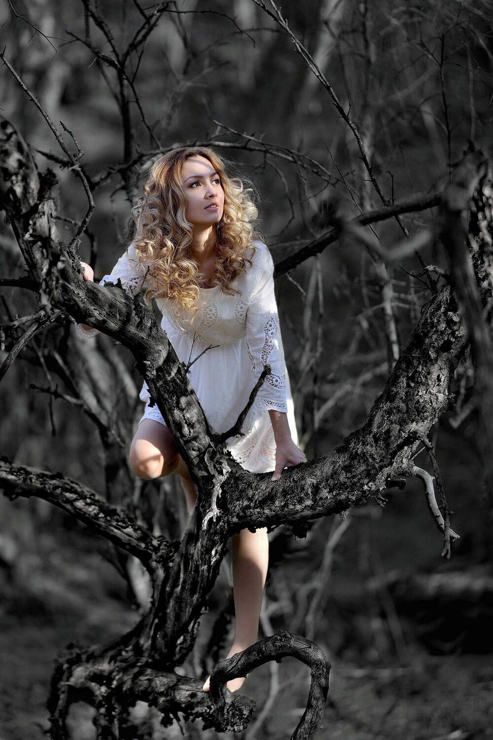 , Владимир Кулаков