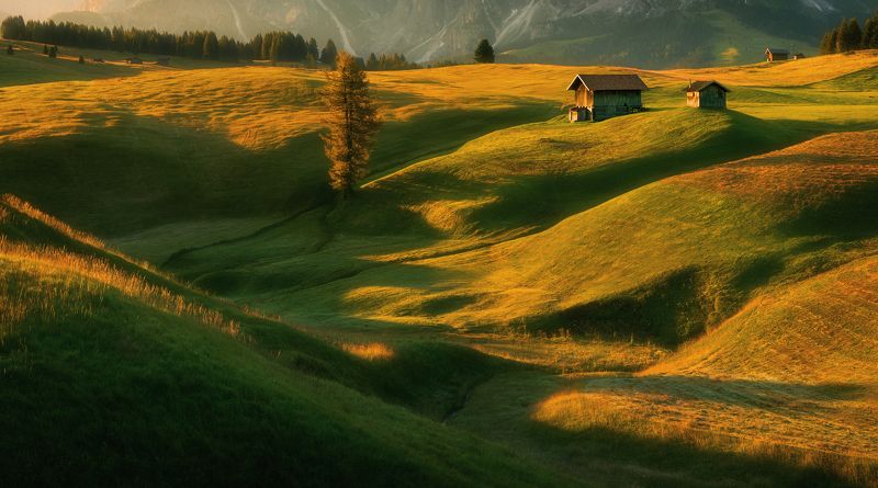 Meadows... фото превью