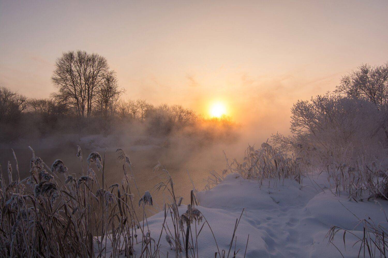 , Максим Ватрушкин
