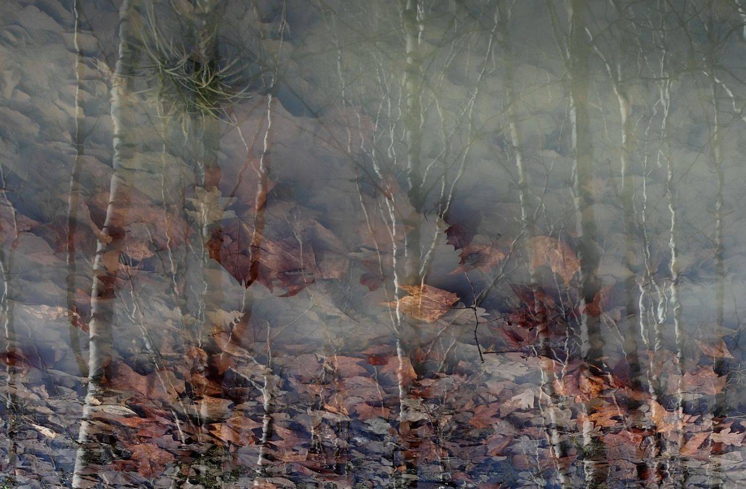 , Сергей Фудиненко