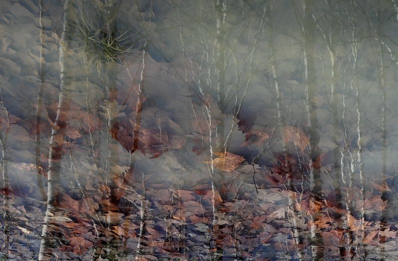 Осень фото превью