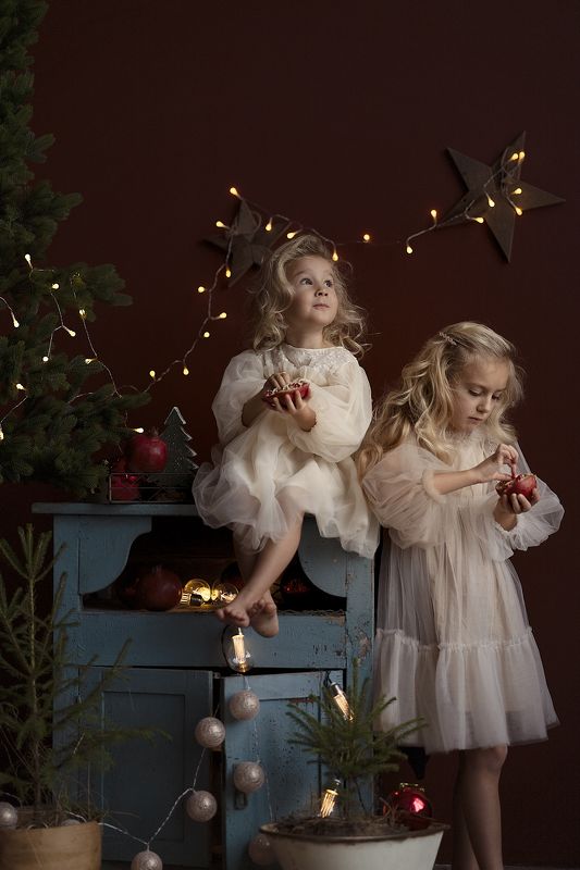 новый год, гранат, елка новый год фото превью