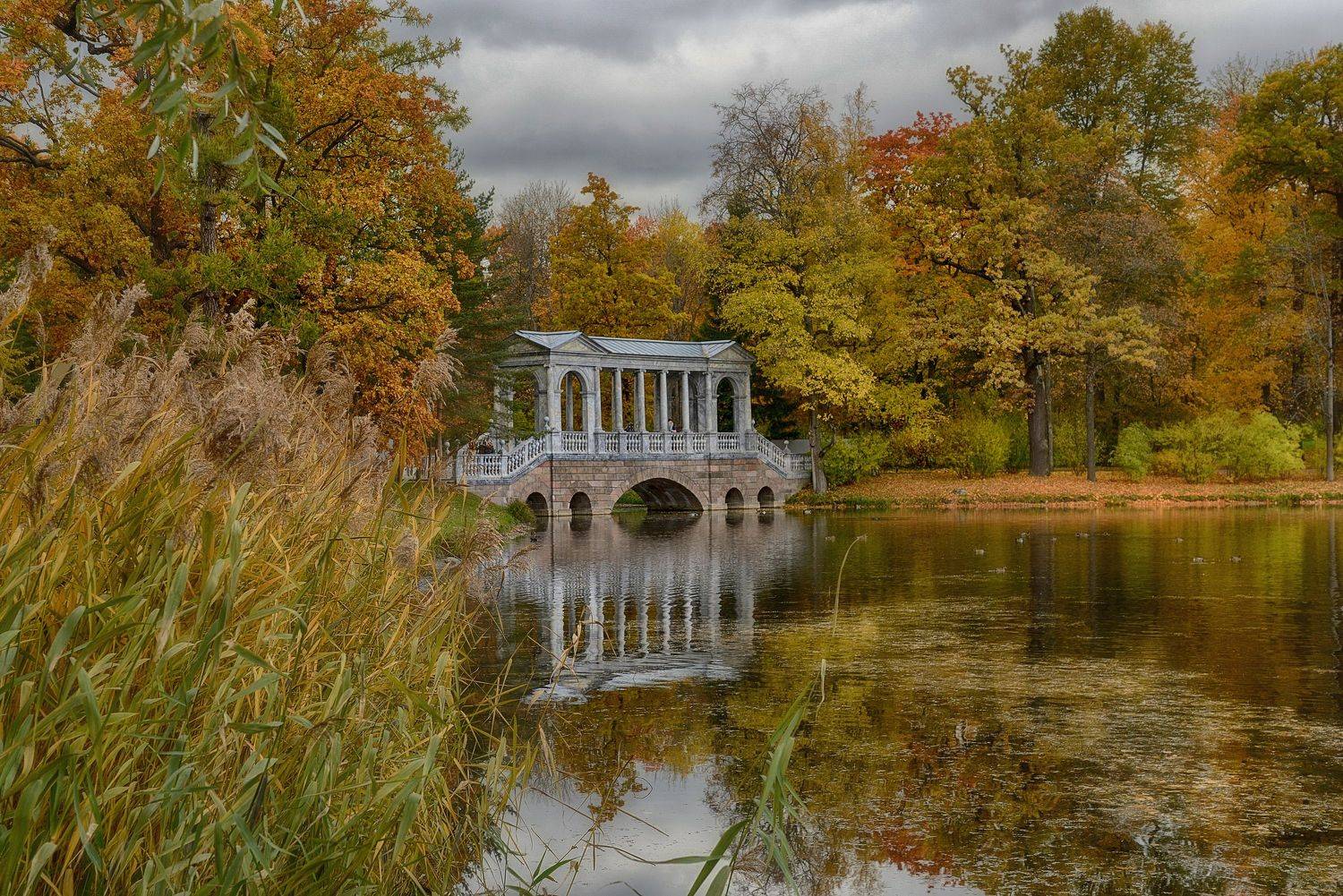 пейзаж,осень,парк,пушкин,царское_село, Наталия К