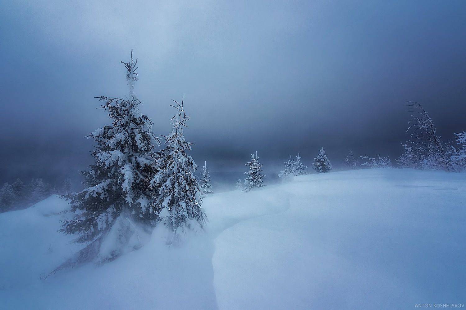 , Антон Кошетаров