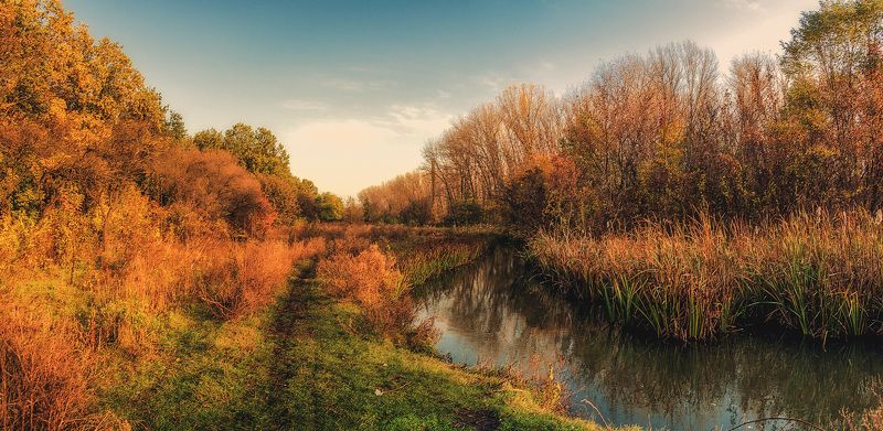 Осень у ручья фото превью