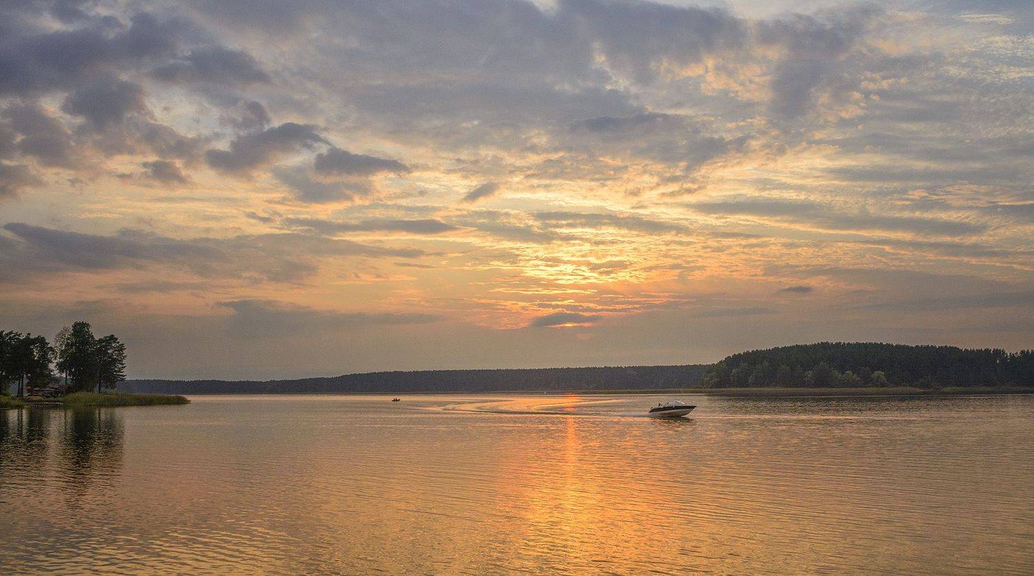 , Анатолий Зверев