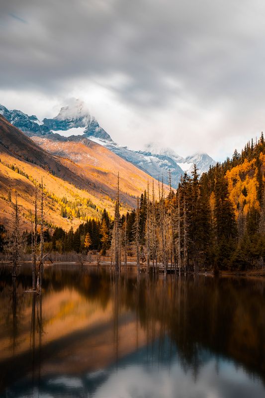 高原，湖泊，深秋，雪山，黄叶，倒影 高山湖泊 фото превью