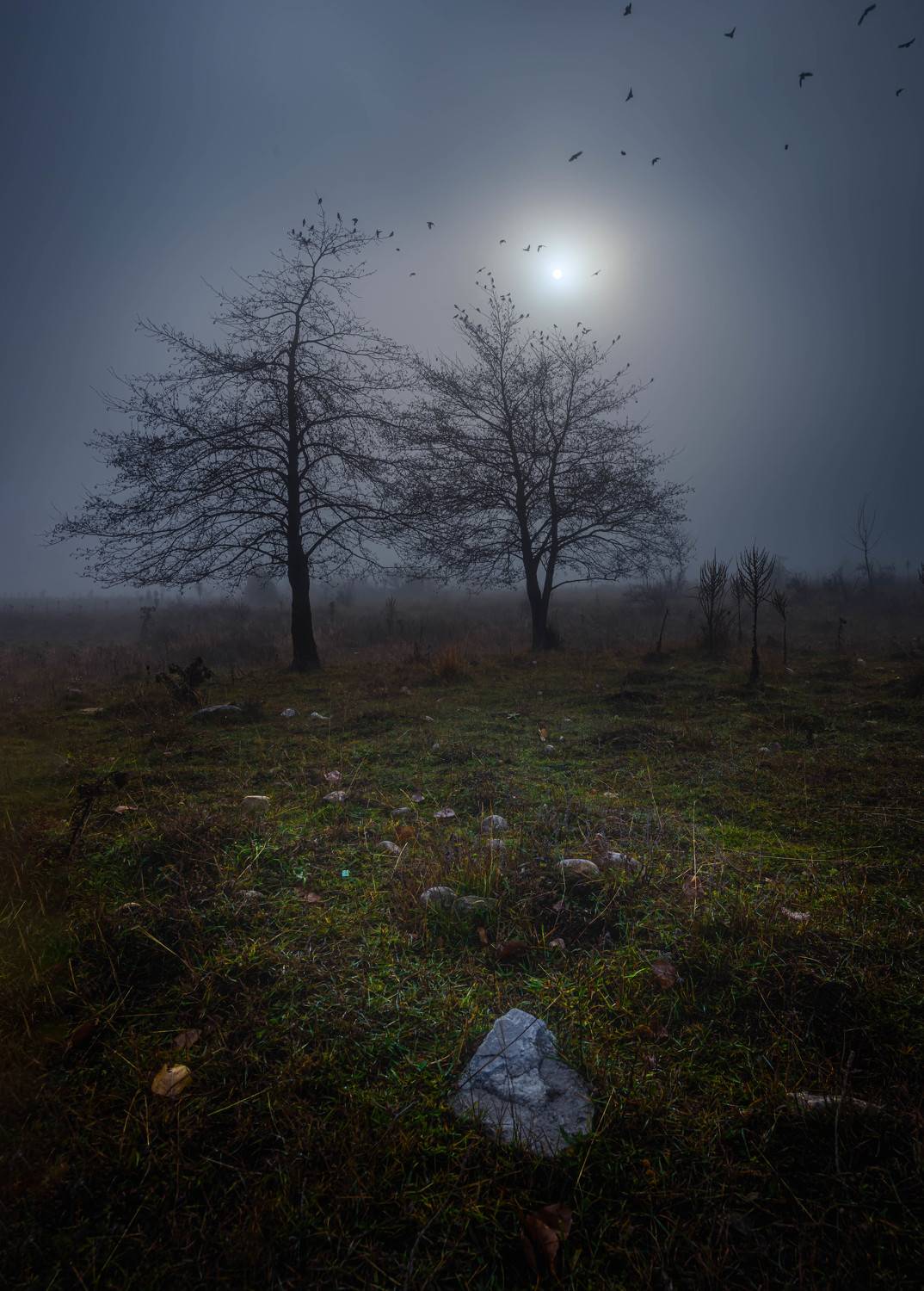 #landscape#nature, Dimo Hristev