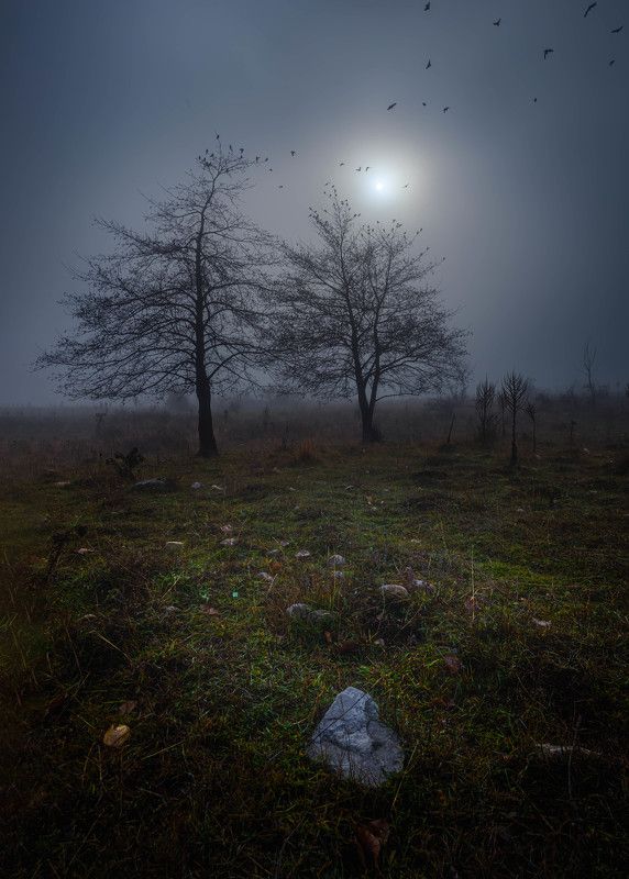 #landscape#nature Silence фото превью