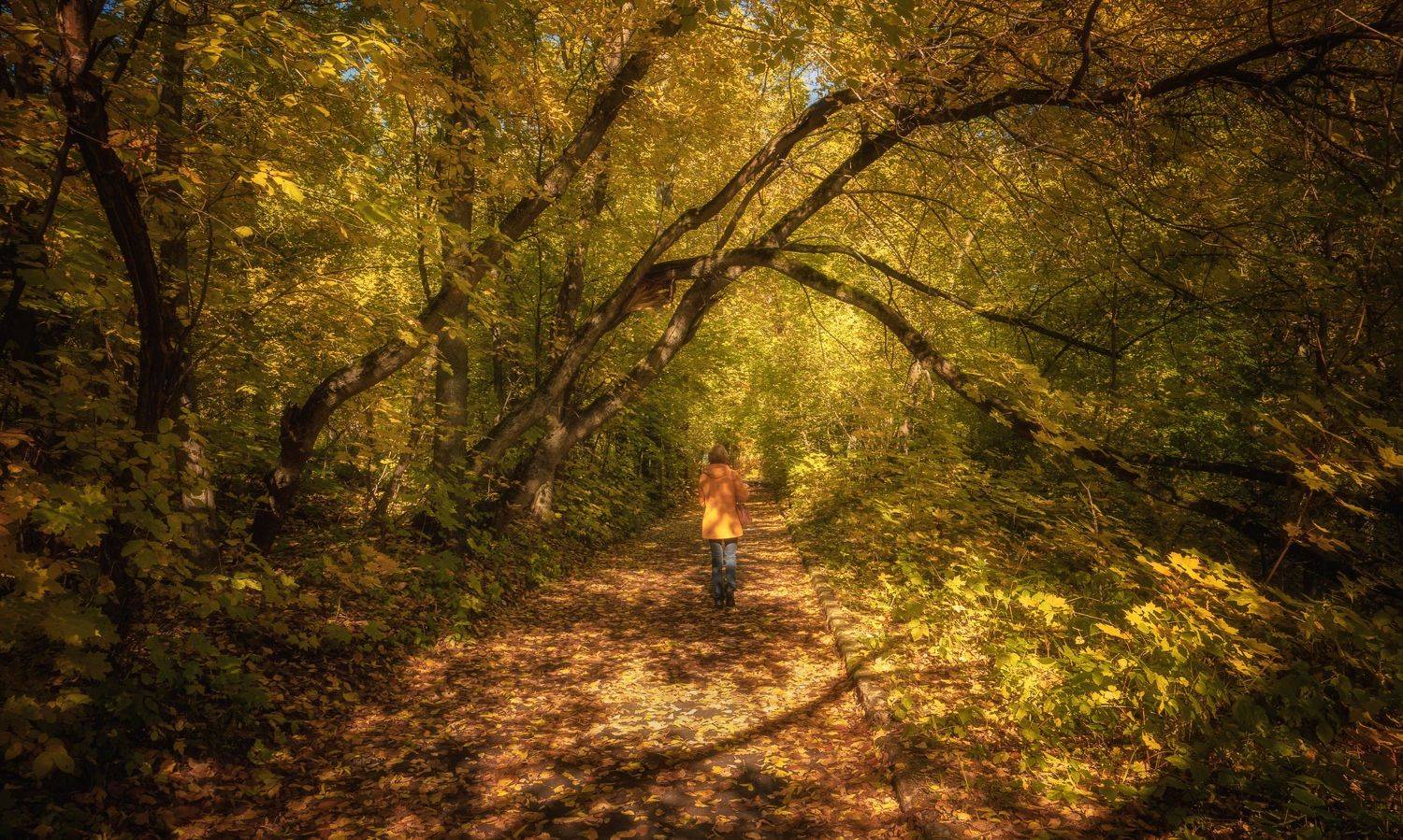 осень парк аллея одинокая фигура, Андрей Колесов
