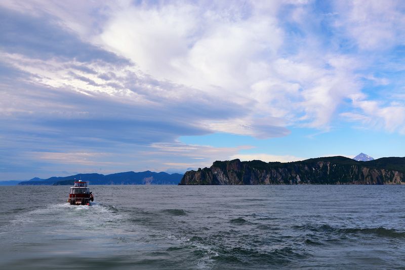 В Авачинской бухте фото превью