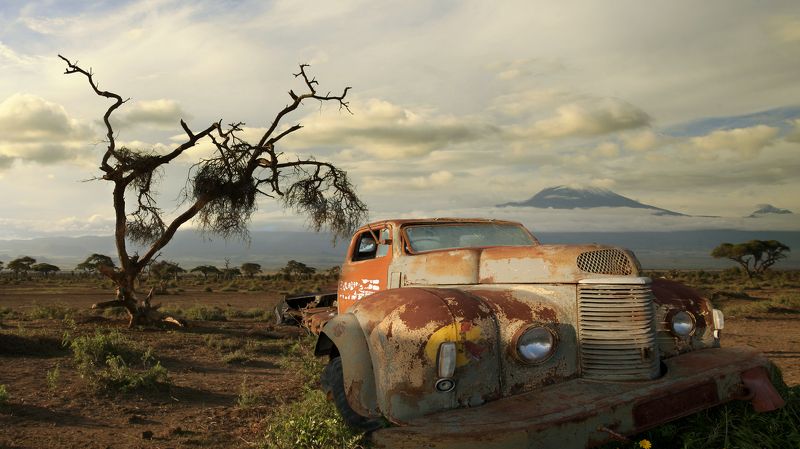 Гора Дерево Машина фото превью
