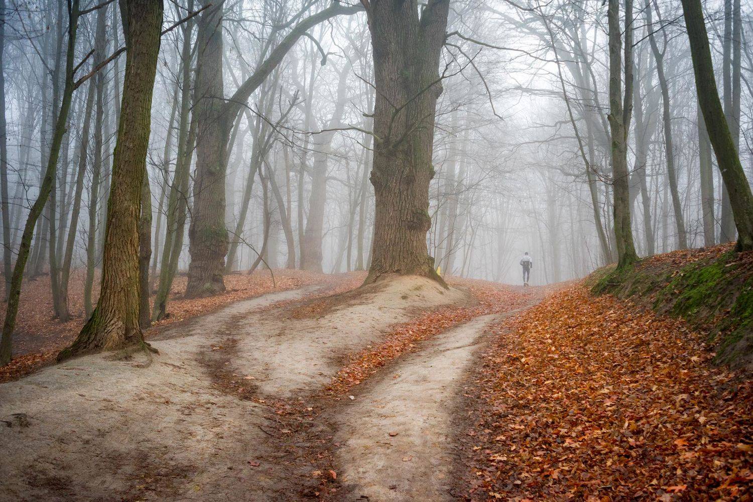 , Юрий Юрьев