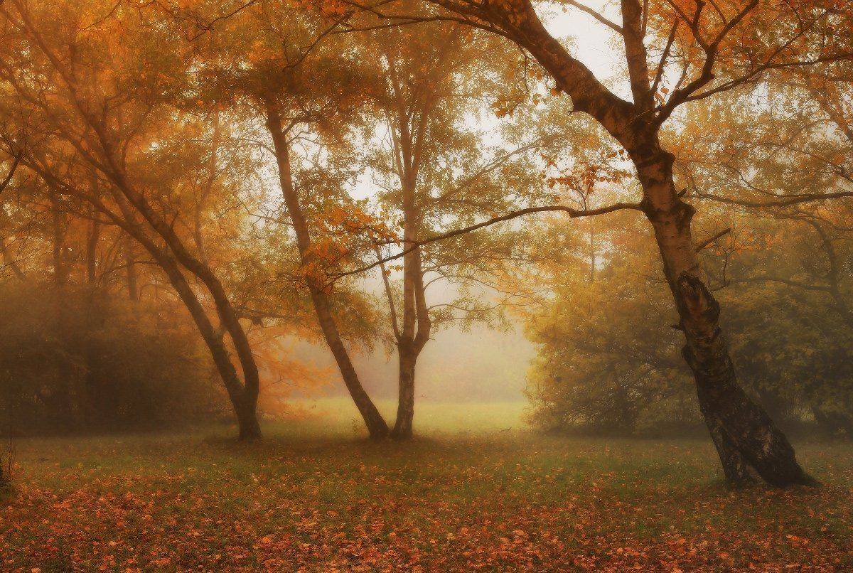 , Михаил  Пилипенко