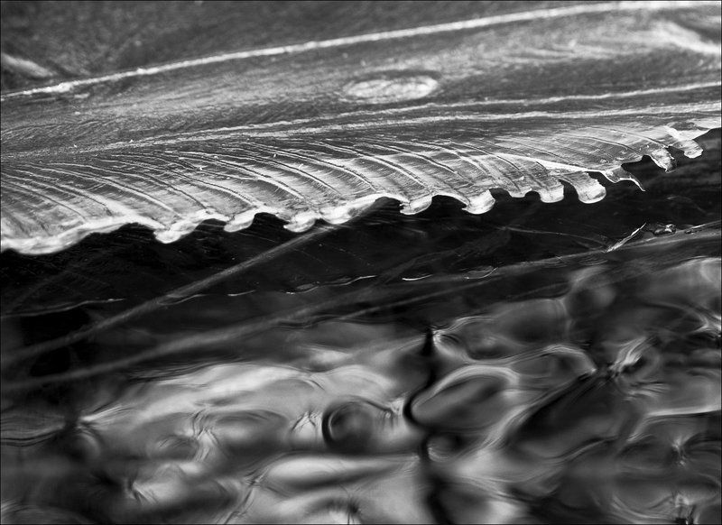 winter cold фото превью