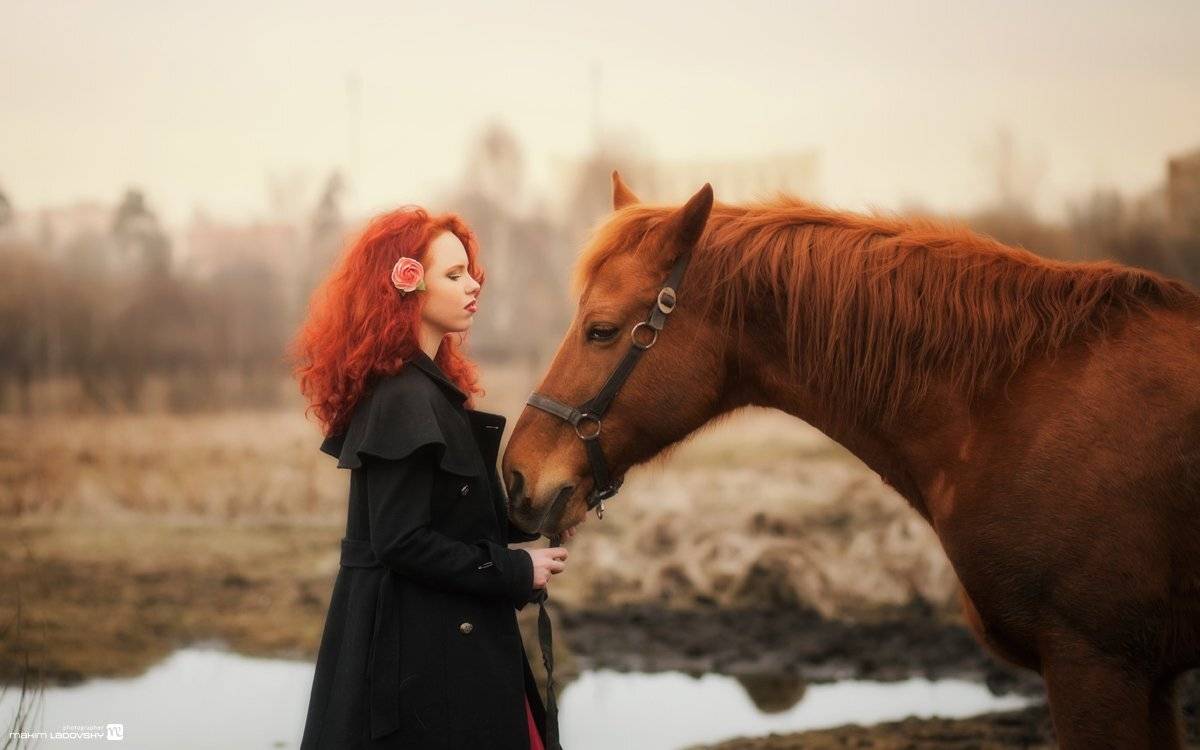 , Ладовский Максим