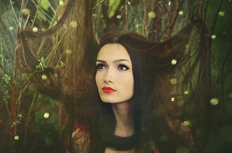 fairy dream фото превью