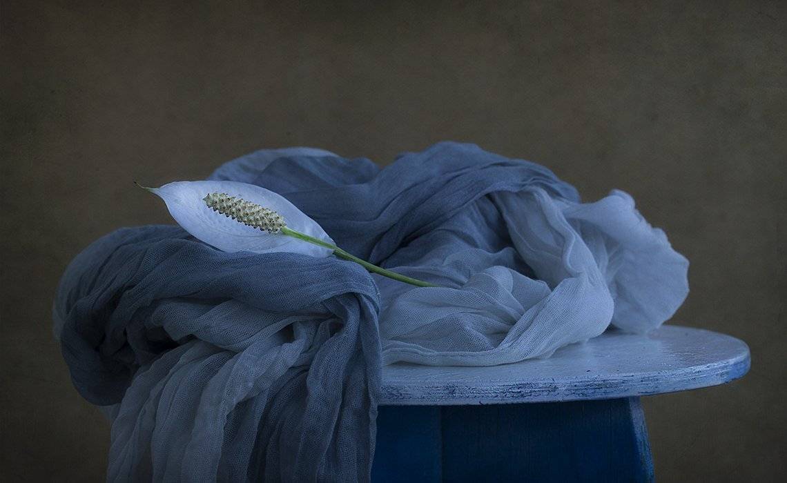 , Петрова Татьяна