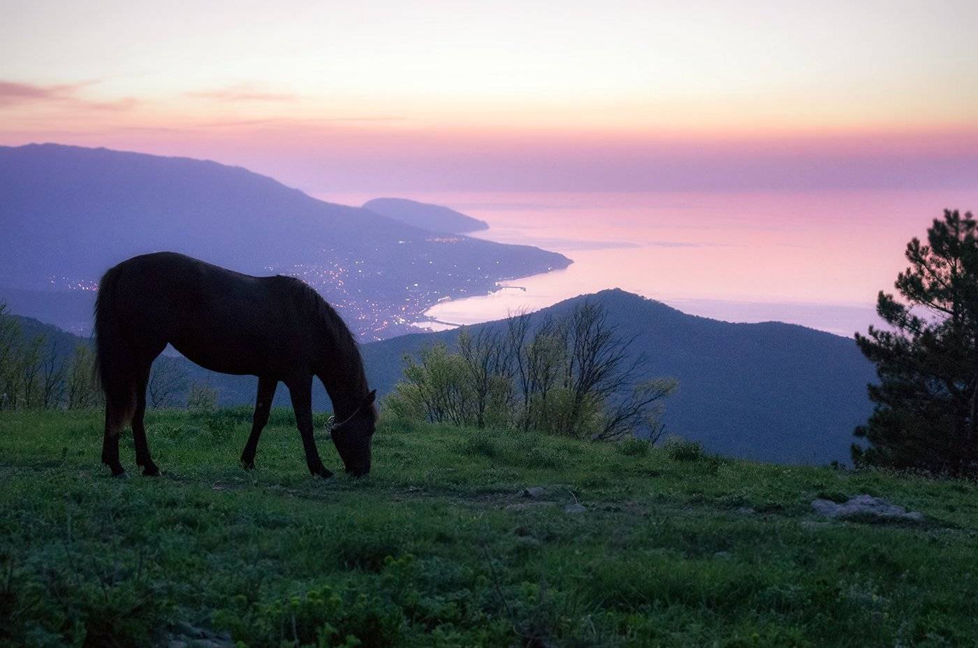 , Игорь Мелекесцев