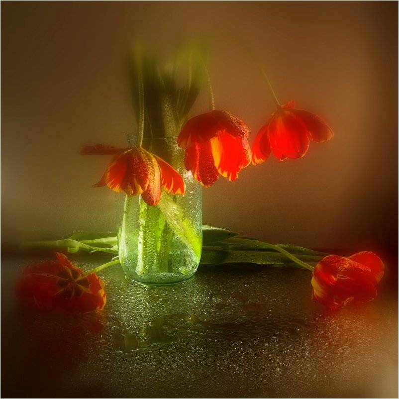 , Лев Сердюков