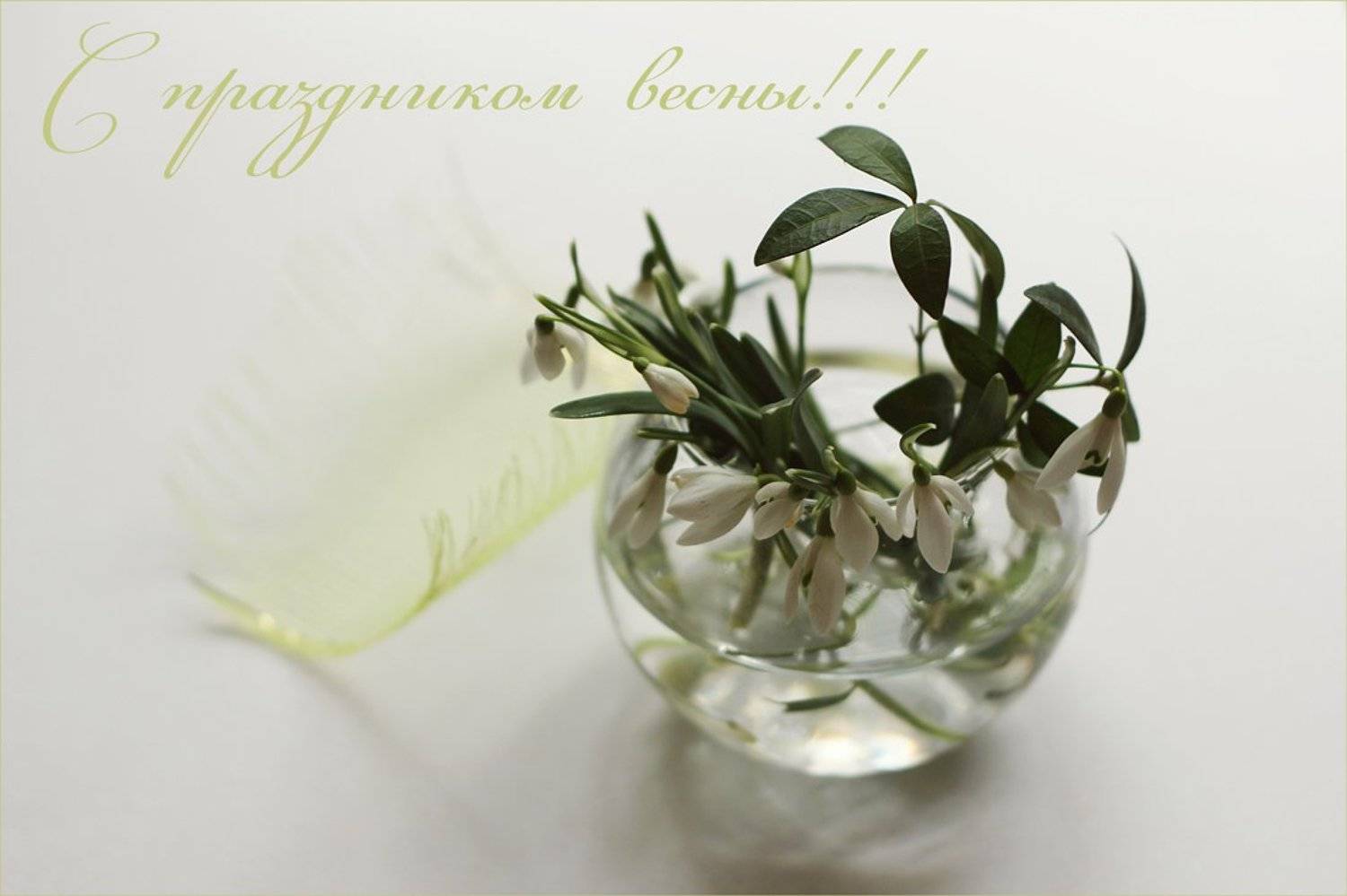 , Киливник Наталия(Metron)