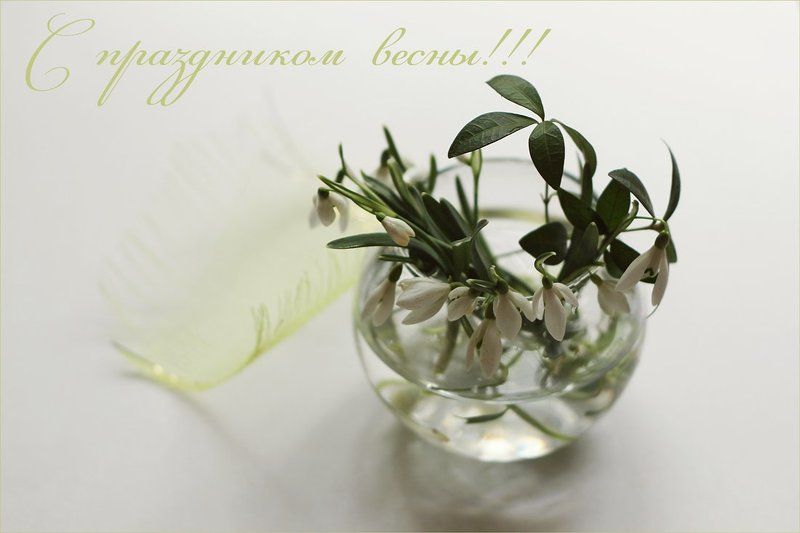 С праздником весны! фото превью